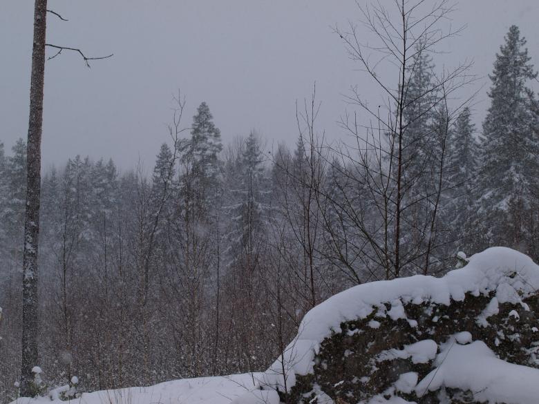 Free stock image of Winter created by Marko Mäkinen