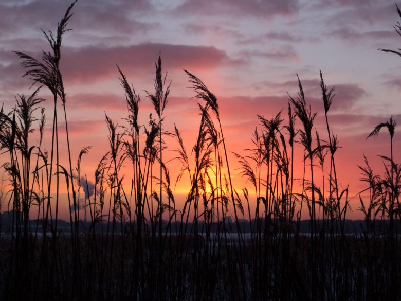 Free stock image of Beautiful sunset created by Janis Urtans