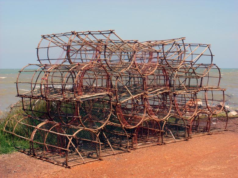 Free stock image of Crustacean fishing traps created by Chas Mac