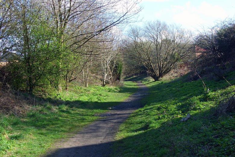 Free stock image of Nature Trail created by Chas Mac