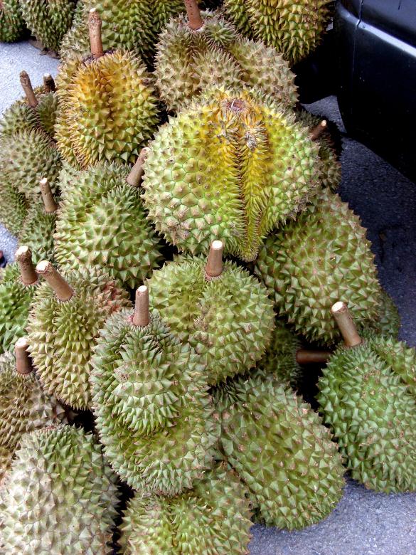 Free stock image of Durian Fruit Sale created by Chas Mac