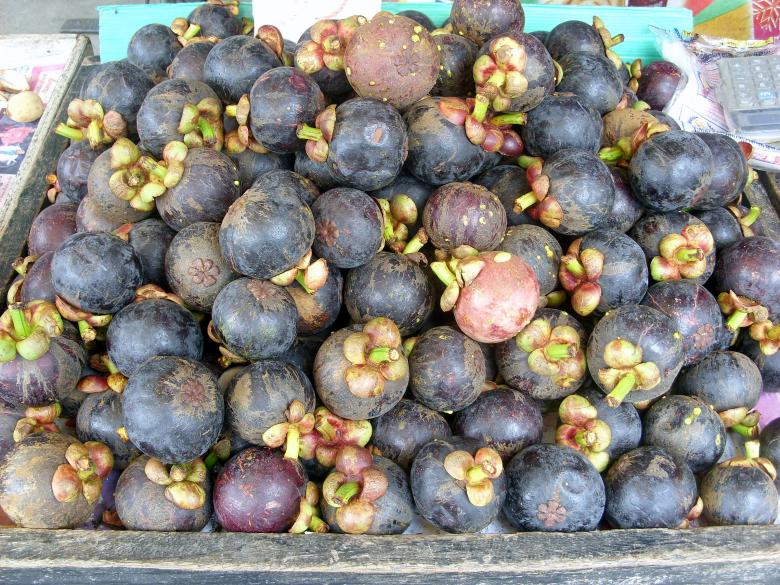 Free stock image of Mangosteen fruit created by Chas Mac
