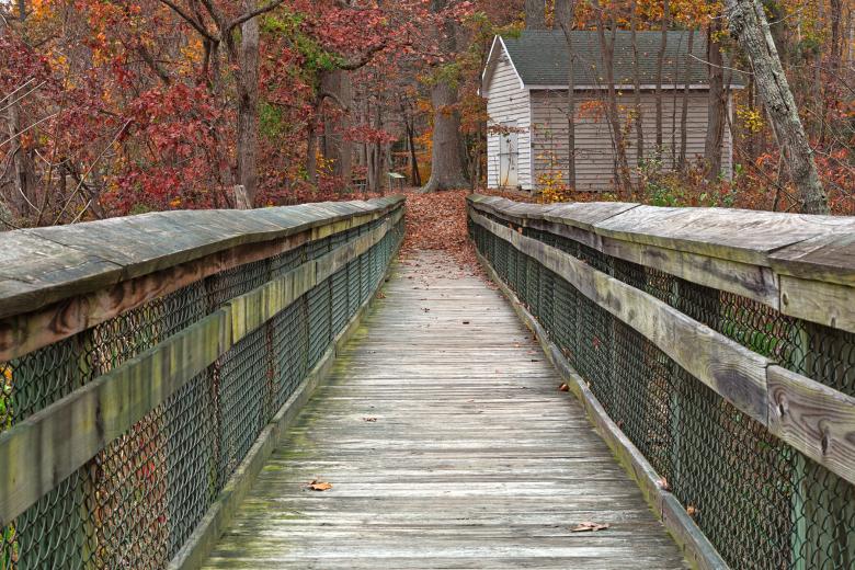 Free stock image of Rustic Autumn Boardwalk - HDR created by Nicolas Raymond