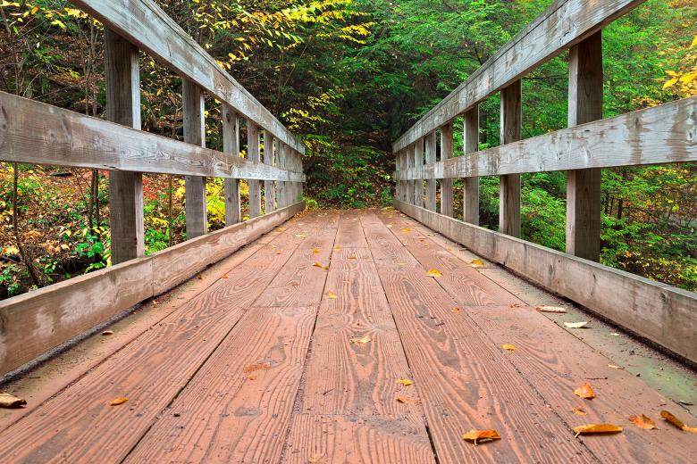 Free stock image of Autumn Boardwalk Bridge - HDR created by Nicolas Raymond