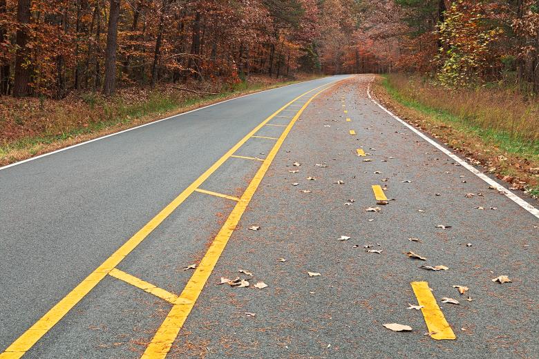 Free stock image of Winding Autumn Forest Road - HDR created by Nicolas Raymond