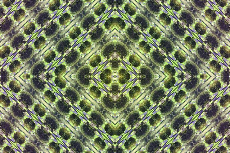 Free stock image of Chatelherault abstract background created by Chas Mac