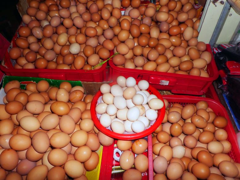 Free stock image of Eggs created by Chas Mac