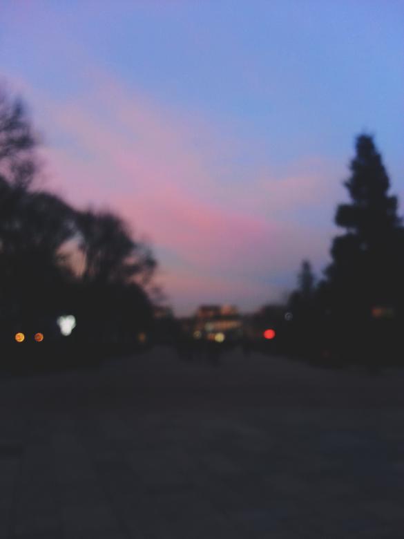 Free stock image of Blurry Ruse created by Mayara Sousa