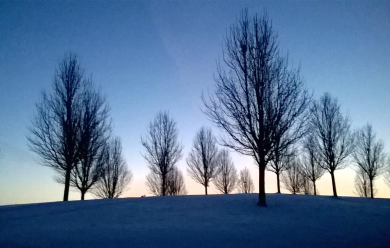 Free stock image of Dawn created by Mario