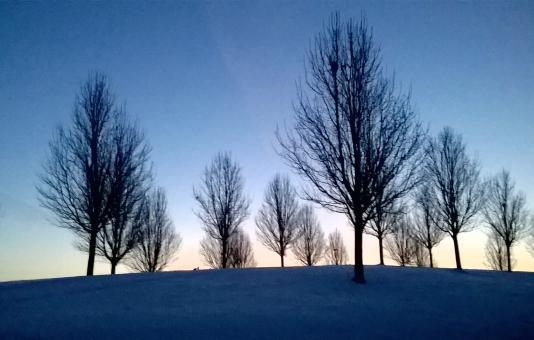 Dawn - Free Stock Photo
