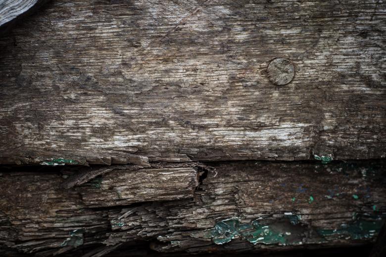 Free stock image of Rotten Wood Texture created by Free Texture Friday