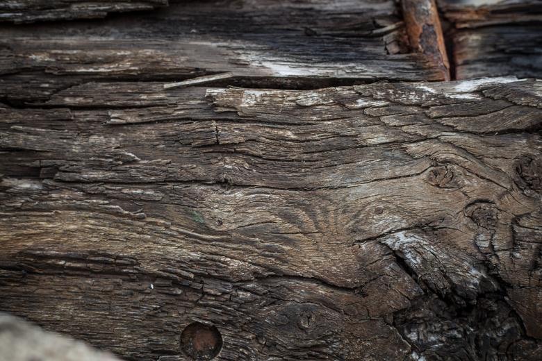 Free stock image of Rotten Wood Texture created by Free Texture Friday