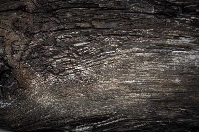 Free stock image of Rotten Wood Texture created by Free Texture Friday