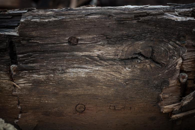 Free stock image of Rotten Wood Texture created by Free Texture Friday