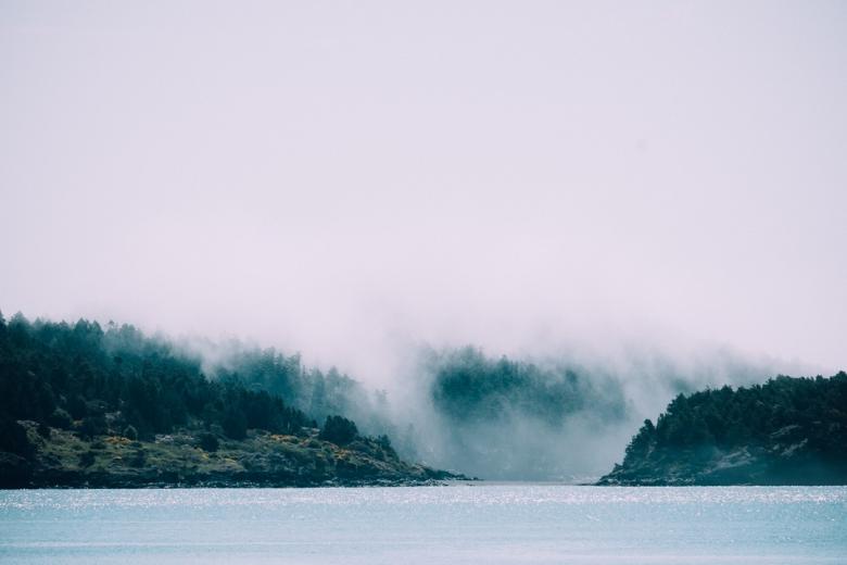 Free stock image of Clouds Covering the Forest created by Unsplash