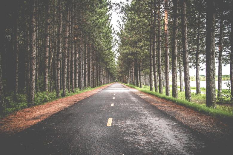 Free stock image of Road between the trees created by Unsplash