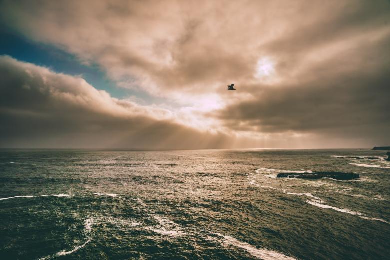 Free stock image of Wavy Ocean created by Unsplash