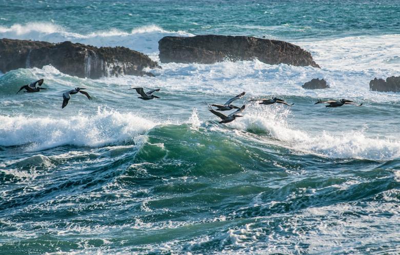 Free stock image of Splashing Waves created by Unsplash