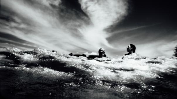 Lets Swim - Free Stock Photo