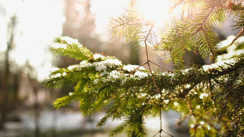 Free stock image of Ray of Hope created by Unsplash