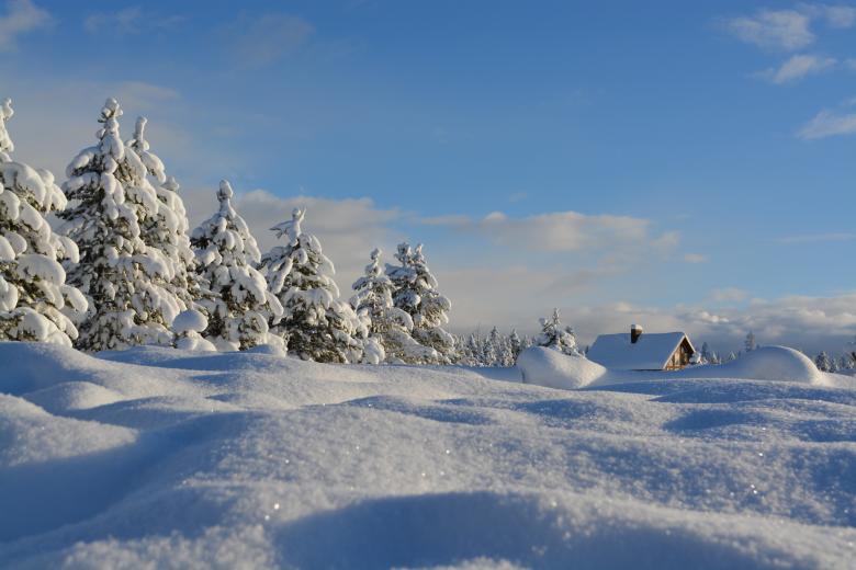 Free stock image of Getting Warm created by Unsplash
