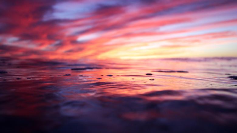 Free stock image of Red created by Unsplash