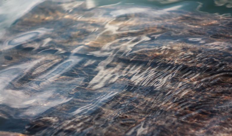 Free stock image of Water created by Unsplash