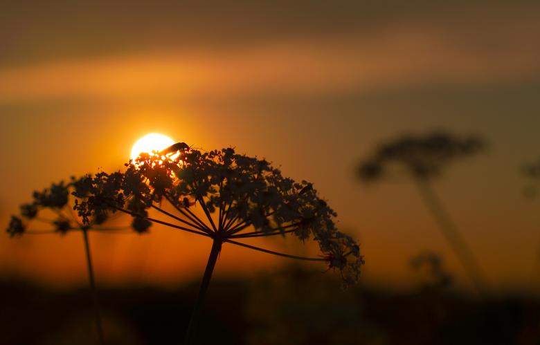Free stock image of Slight view created by Unsplash