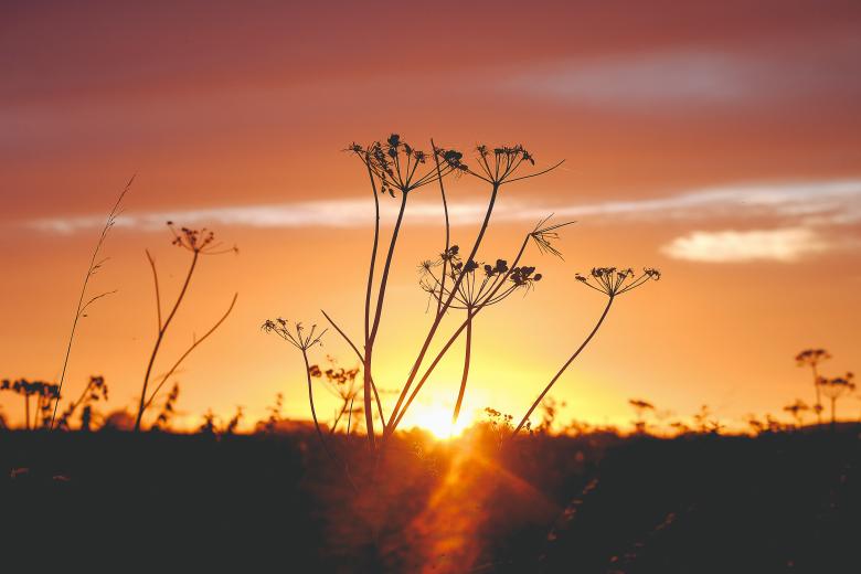Free stock image of Brighter created by Unsplash