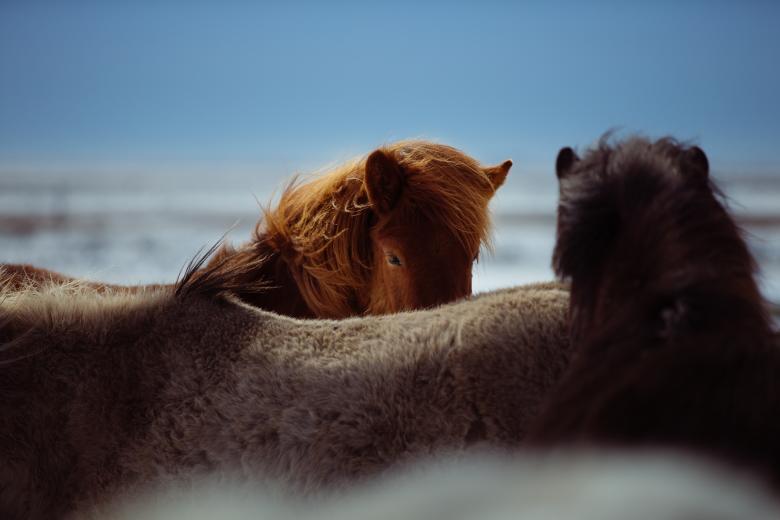 Free stock image of Friends created by Unsplash