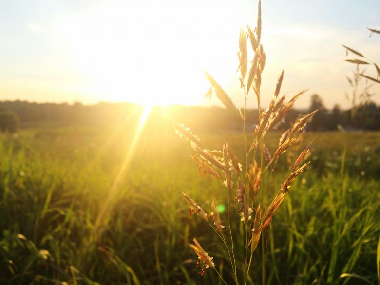 Free stock image of Hello Spring created by Unsplash