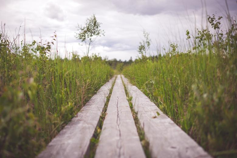 Free stock image of Planks created by Unsplash