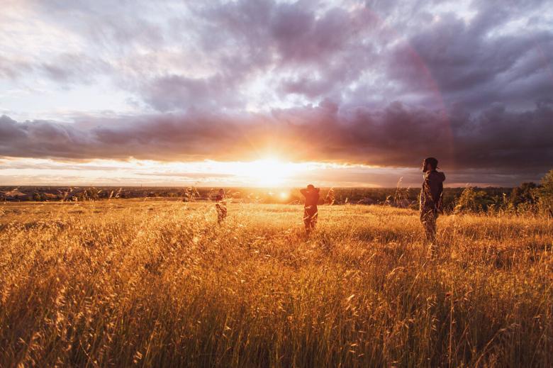 Free stock image of Bright Field created by Unsplash