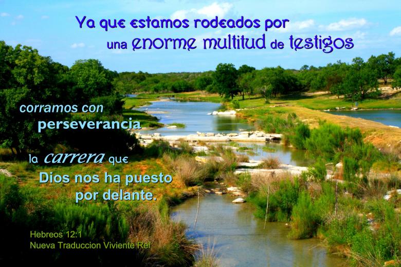 Free stock image of Multitud de Testigos created by DFNatureAwed