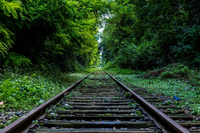 Free stock image of woods created by Unsplash