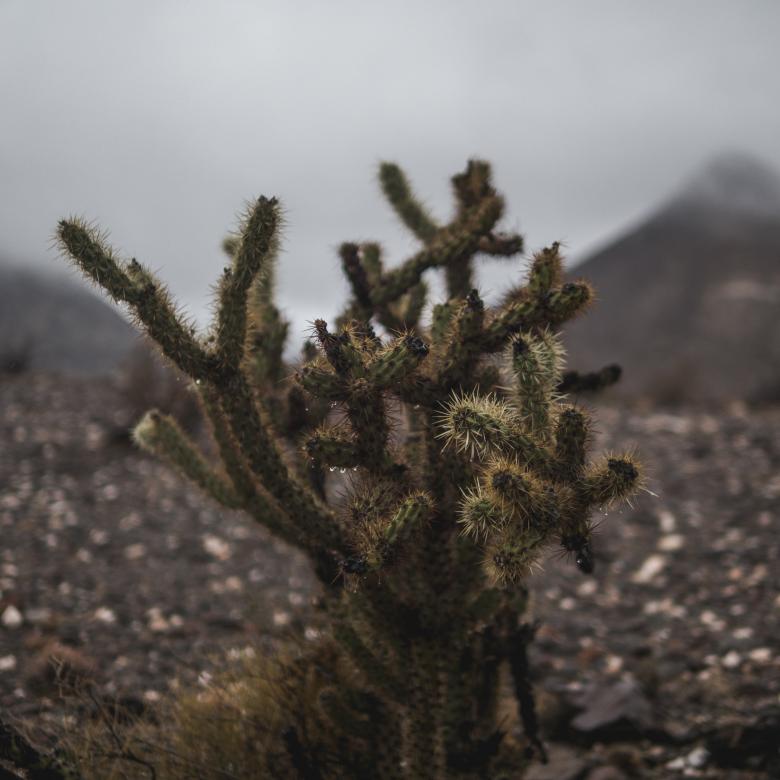 Free stock image of Landscape created by Unsplash