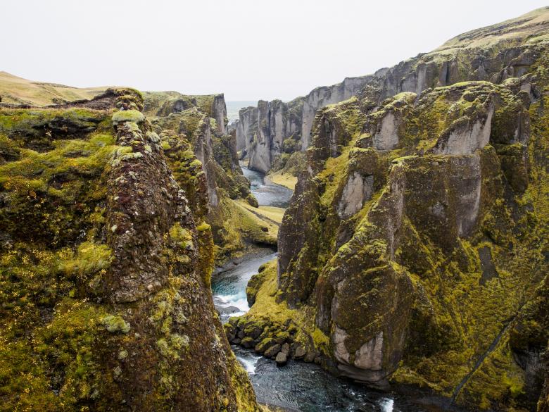 Free stock image of Green Tops created by Unsplash
