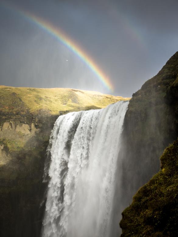 Free stock image of Nature created by Unsplash