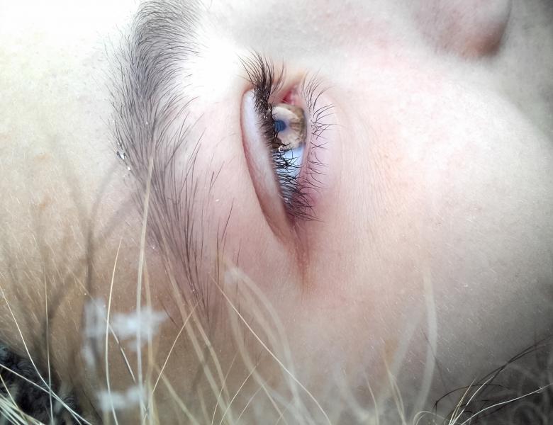 Free stock image of Up close created by Unsplash