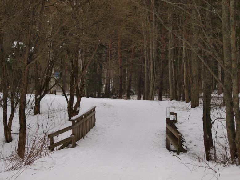 Free stock image of Park at winter created by Marko Mäkinen