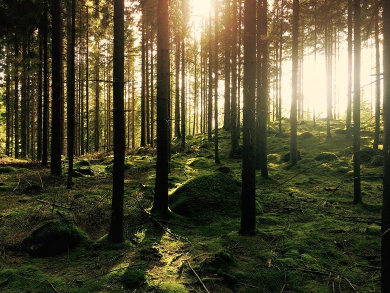 Free stock image of Beautiful Landscape created by Unsplash