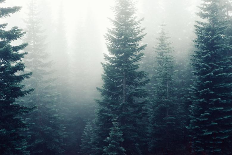 Free stock image of Foggy  created by Unsplash