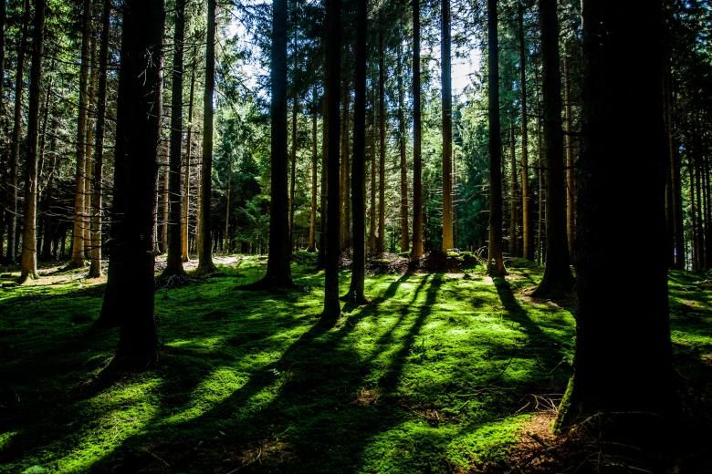 Free stock image of Natural beauty created by Unsplash