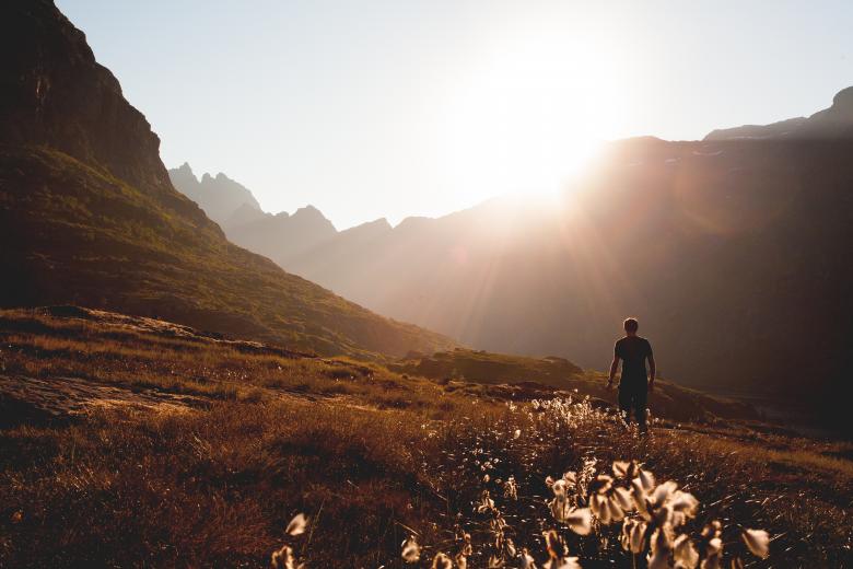 Free stock image of Bright sunny day created by Unsplash