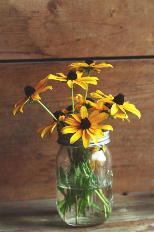 Free stock image of Sunflower jar created by Unsplash