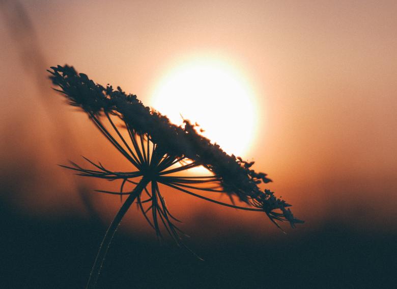 Free stock image of Creation  created by Unsplash