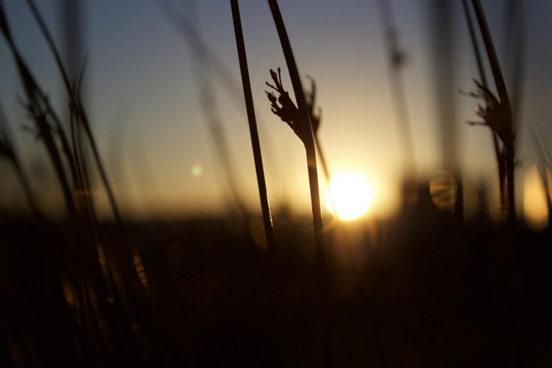 Free stock image of Blurry created by Unsplash