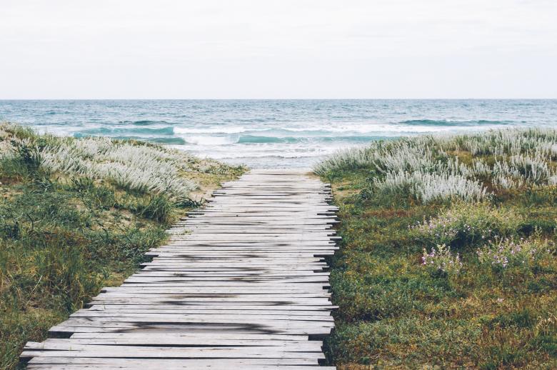 Free stock image of Pathway to the Beach created by Unsplash