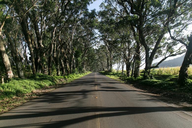 Free stock image of The Road  created by Unsplash