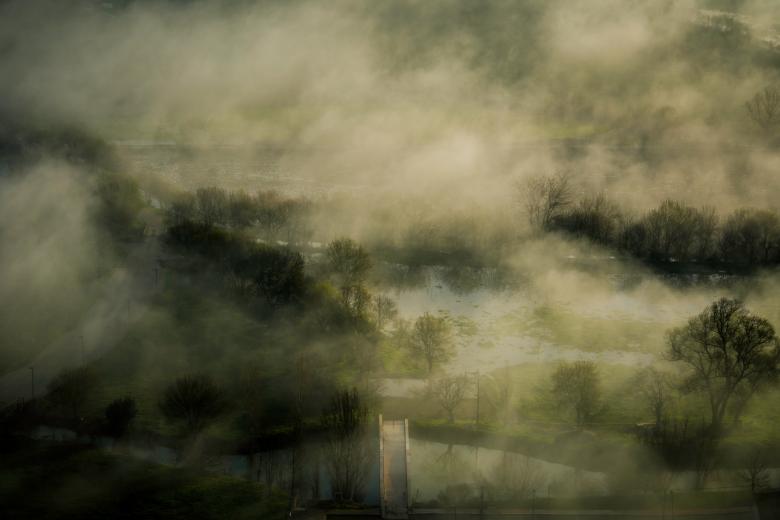 Free stock image of Foggy Swamp created by Unsplash